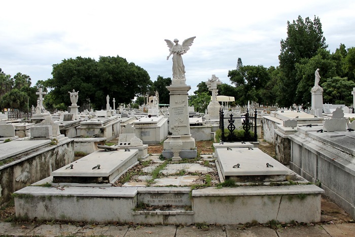 Havana Necropolis